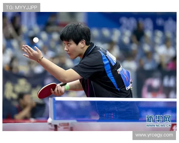 乒乓球的舞台上刘磊的奋斗与荣耀之路深度对话 乒乓球的舞台上刘磊的奋斗与荣耀之路深度对话