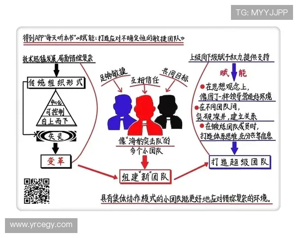 从零起步打造篮球团队协作的全方位指南与实战技巧分享