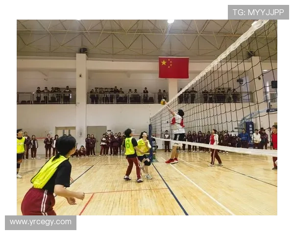 全国锦标赛分析:西安排球队在比赛中的速度优势与表现探讨 全国锦标赛分析:西安排球队在比赛中的速度优势与表现探讨