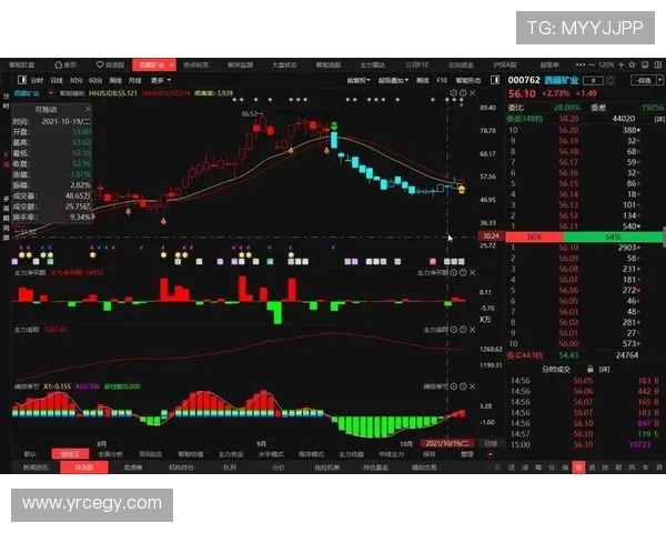 独家解析杭州乒乓球队实力对比与发展潜力分析 独家解析杭州乒乓球队实力对比与发展潜力分析